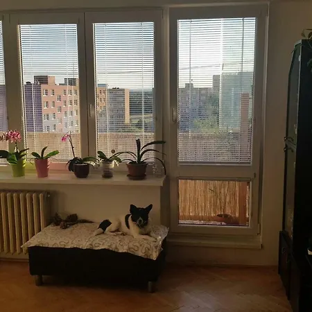 Apartmán Perfect For Family With Kids